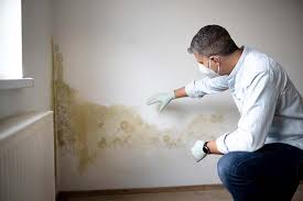 Best Crawl Space Mold Remediation  in River Park, FL